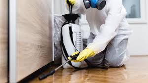 Best Fumigation Services  in Llano, TX